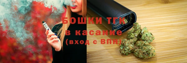 винт Липки