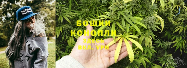 винт Липки