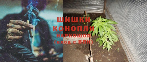винт Липки