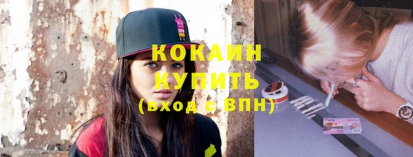 винт Липки