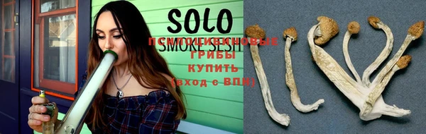 винт Липки