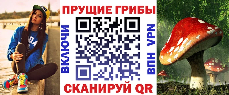 Купить закладки  Арсеньев  Галлюциногенные грибы мицелий 